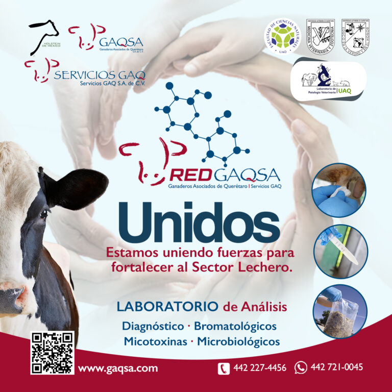 UNIDOS FONAHOLSTEIN 1:4